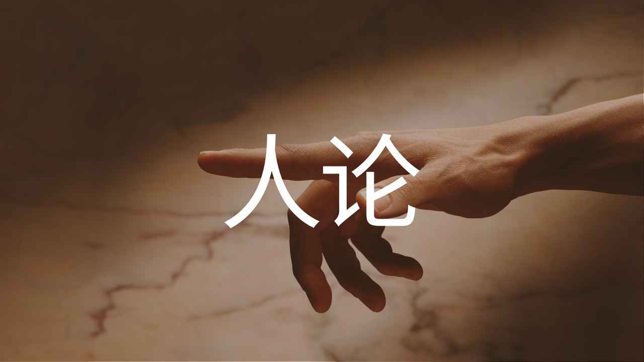 《系统神学》人论