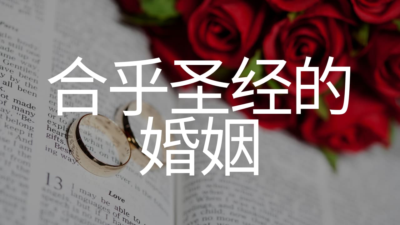 《合乎圣经的婚姻》