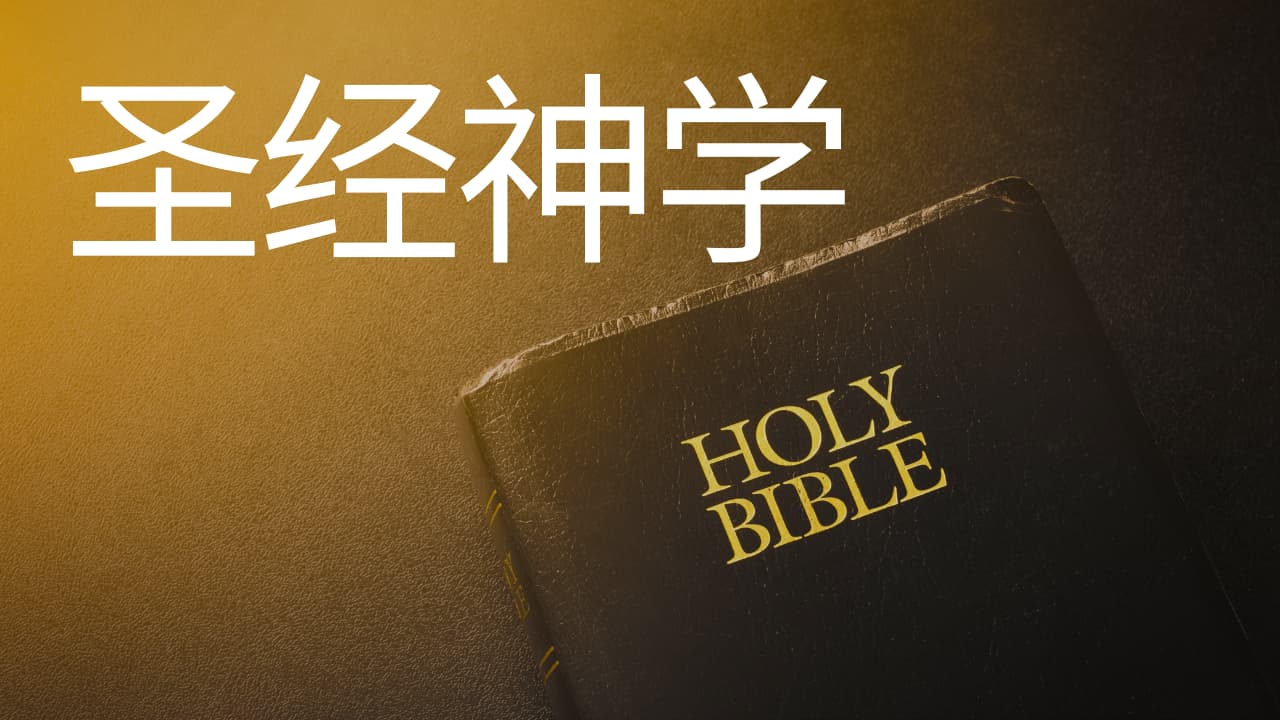 《圣经神学》