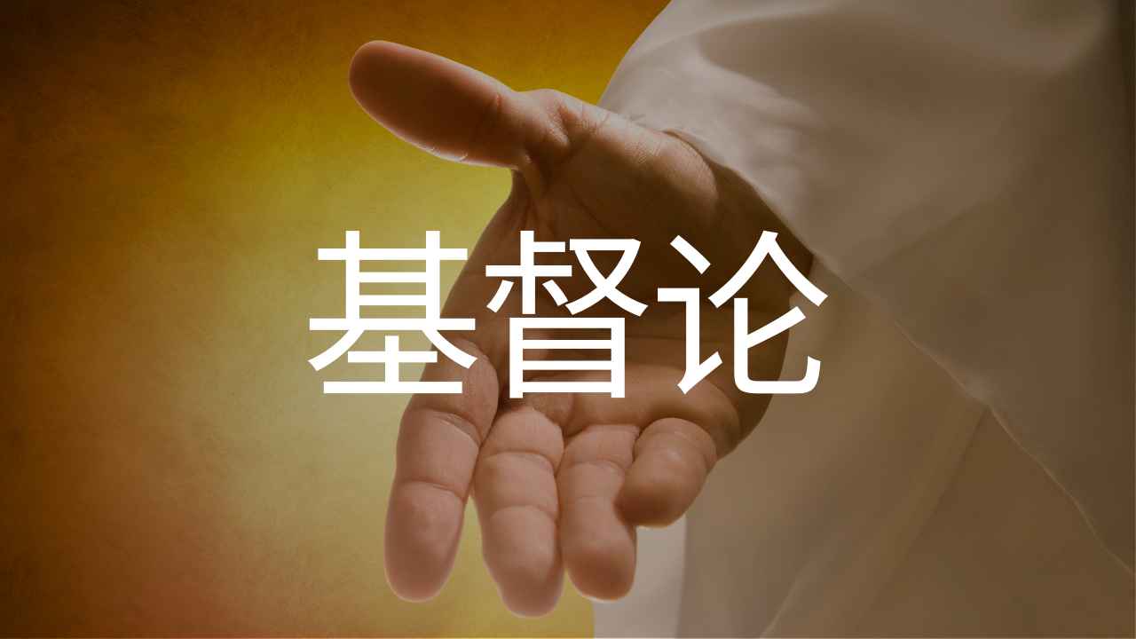 《系统神学》基督论