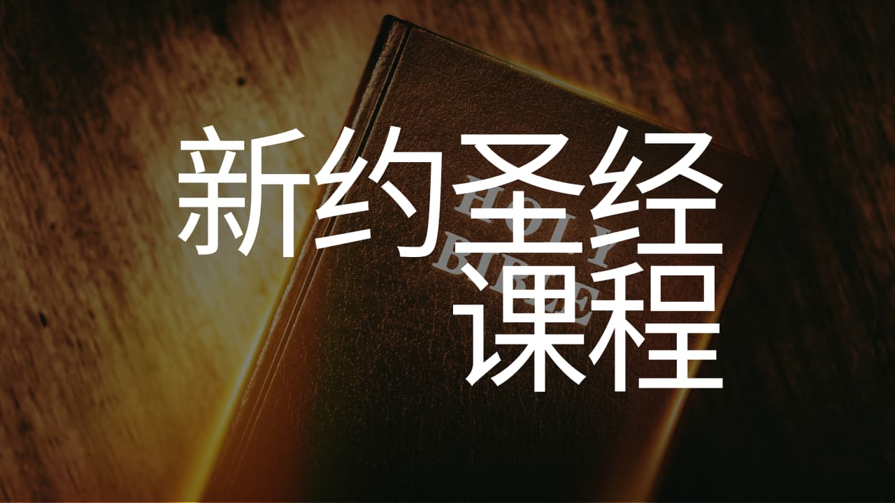 《新约圣经课程》