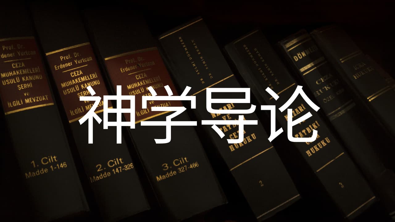 《系统神学》导论